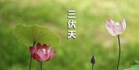 什么時(shí)候初伏天開始,2021三伏天從什么時(shí)候開始到什么時(shí)候結(jié)束