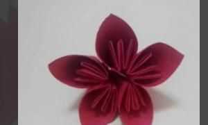 花怎么折，紙花怎么做？圖7