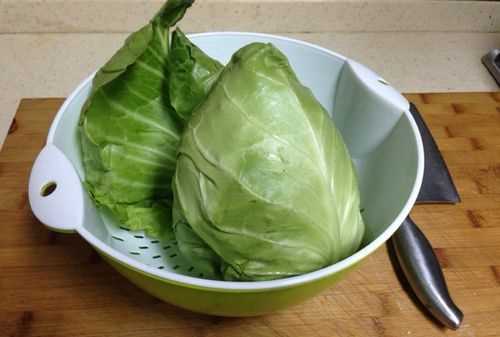 動森大頭菜一天有幾個價格