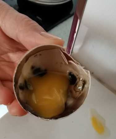 煮熟的雞蛋變質(zhì)了吃了會怎樣