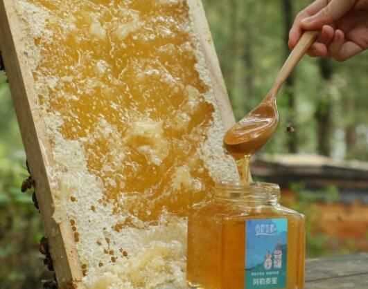 土蜂蜜帶苦味怎么回事,蜂蜜有點苦是怎么回事?圖2