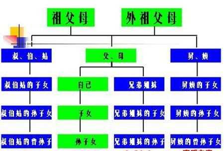 叔叔、舅舅等是不是直系親屬如何界定