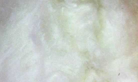 桑蠶絲的優(yōu)缺點，百分百桑蠶絲衣服的優(yōu)缺點？圖4