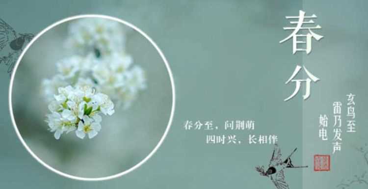 春分節(jié)氣的氣候特點是什么樣的
