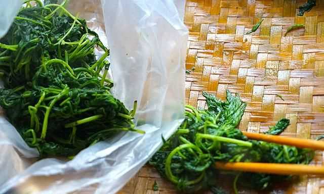 青團不放冰箱會壞嗎，家庭版青團簡單做法？圖10