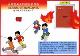 消防安全知識(shí)征文100