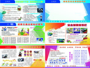 安全知識(shí)心得作文500