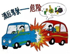 開車安全教育知識(shí)