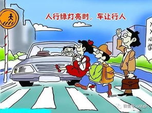 三輪車(chē)科三交通文明安全知識(shí)