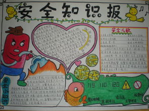 安全知識(shí)手抄報(bào)得獎(jiǎng)