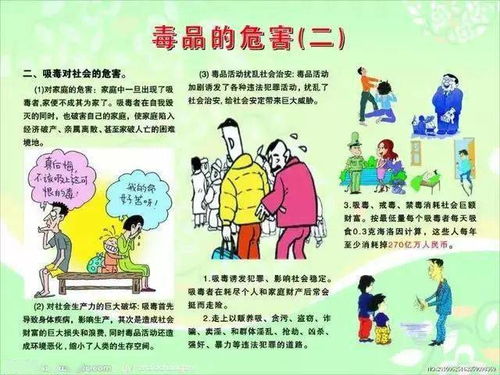 小學(xué)生禁毒防邪安全知識(shí)