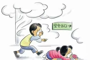 秋季十防安全知識(shí)