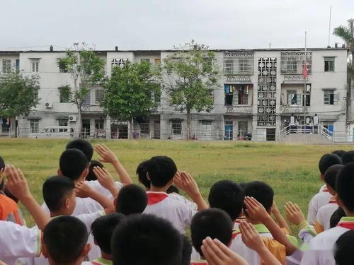 防溺水安全知識(shí)國旗下演講