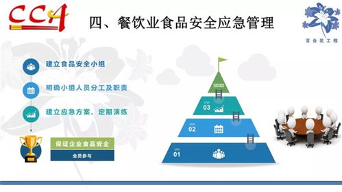 食品安全管理基礎(chǔ)知識