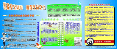 Xx安全知識(shí)普及