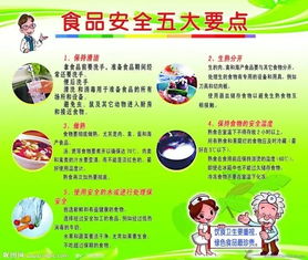 小學(xué)學(xué)校食品安全教育知識(shí)