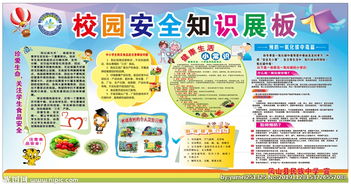 關于安全校園的知識高中作文