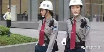 物業(yè)保安執(zhí)勤安全知識(shí)培訓(xùn)