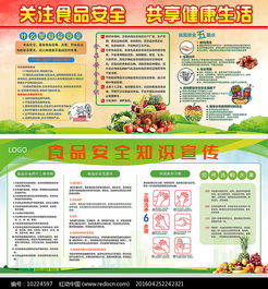 食品安全知識(shí)的板報(bào)設(shè)計(jì)