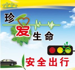 中小學(xué)生交通安全知識作文