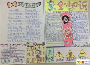 安全知識(shí)得手抄報(bào)