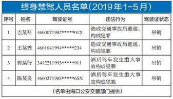 機(jī)關(guān)單位道路交通安全知識(shí)