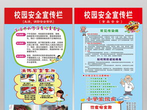 中學小學安全知識測試