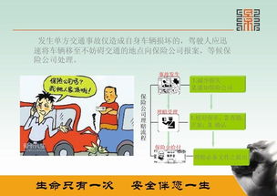 保護(hù)耳朵教案公共安全知識
