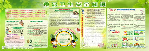 小學(xué)春季食品衛(wèi)生安全知識培訓(xùn)