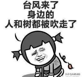 臺風安全防護小知識