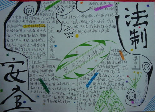 小學(xué)五級安全法規(guī)知識梳理