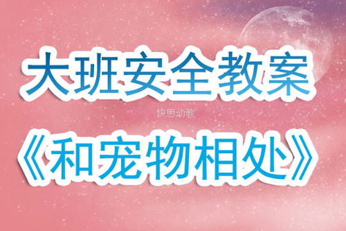 寵物安全知識教學設(shè)計
