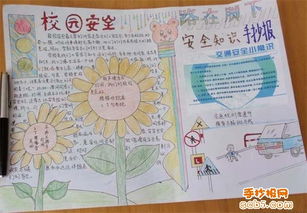 動物實驗室安全知識板報設(shè)計圖