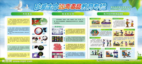 安全防御知識(shí)遠(yuǎn)離毒品