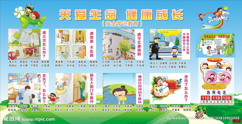 小班家教安全知識外出旅游