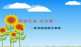 安全知識(shí)說課ppt