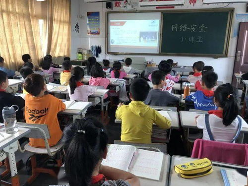 小學網(wǎng)絡知識安全教育講座