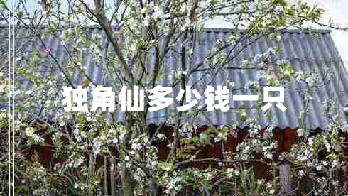 獨角仙多少錢一只