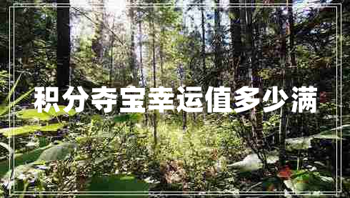 積分奪寶幸運(yùn)值多少滿
