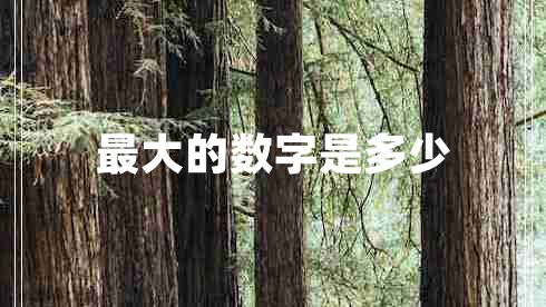 最大的數(shù)字是多少