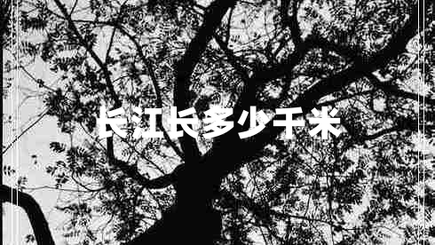 長(zhǎng)江長(zhǎng)多少千米
