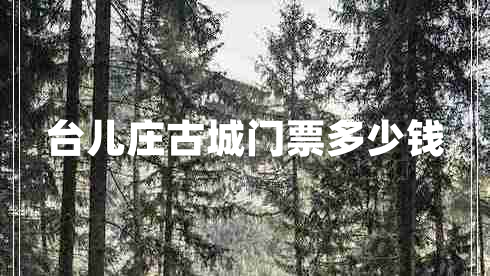 臺(tái)兒莊古城門票多少錢