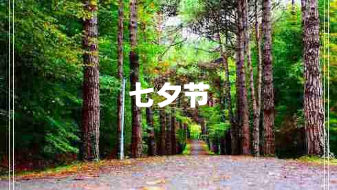 七夕節(jié)