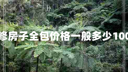 裝修房子全包價格一般多少100平