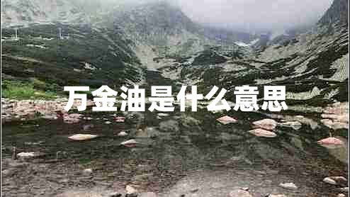 萬金油是什么意思