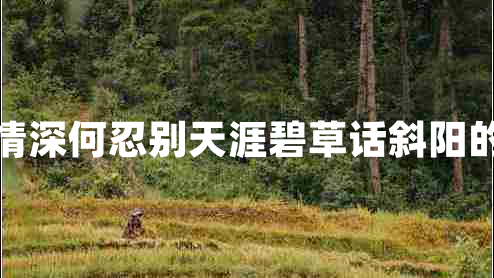蒙漢情深何忍別天涯碧草話斜陽的意思
