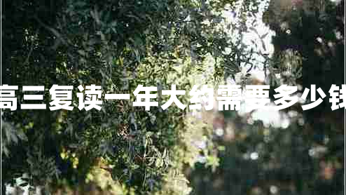 高三復(fù)讀一年大約需要多少錢(qián)