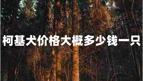 柯基犬價格大概多少錢一只