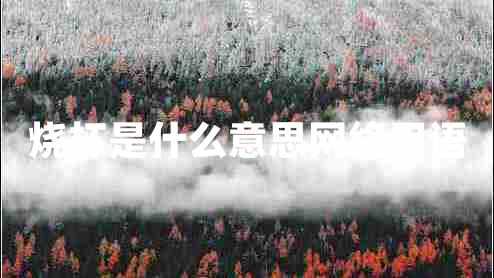燒杯是什么意思網(wǎng)絡(luò)用語