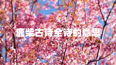 鹿柴古詩全詩的意思